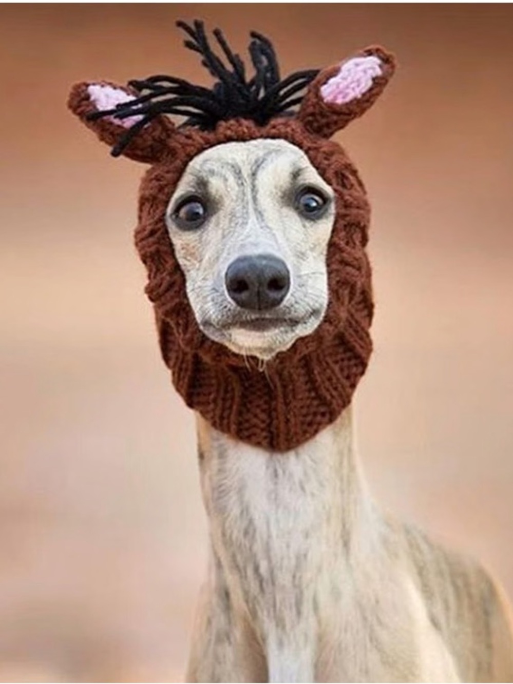 Zoo snoods - horse size medium-New with tags
